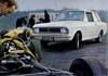 In the paddock...
