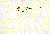 page 16, Service Schedule
