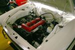 Engine bay - nothing out of place
