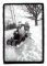 2007 - tobogganing over a jump in Hillsboro, New Hampshire